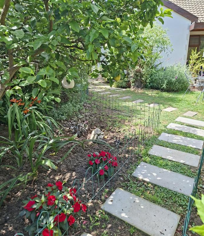 To Let 1 Bedroom Property for Rent in Durbanville Western Cape